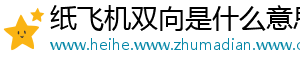 纸飞机双向是什么意思